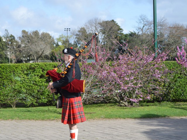 DSC_0002 (Medium).JPG